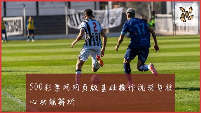 500彩票网网页版基础操作说明与核心功能解析